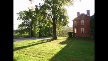 Dave Smith Instruments Prophet 