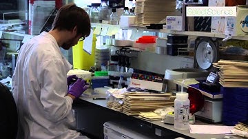 Extracellular Matrices: Innovative Cancer Research at Beatson Institute