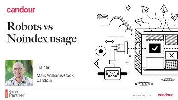 Noindex and robots.txt usage