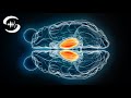 Thalamus Stimulation: Aufmerksamkeit verbessern (Binaural Beats)