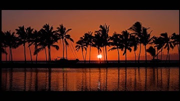 Ambient Lounge: Paul Hardcastle - (Summer Madness) No Stress At All