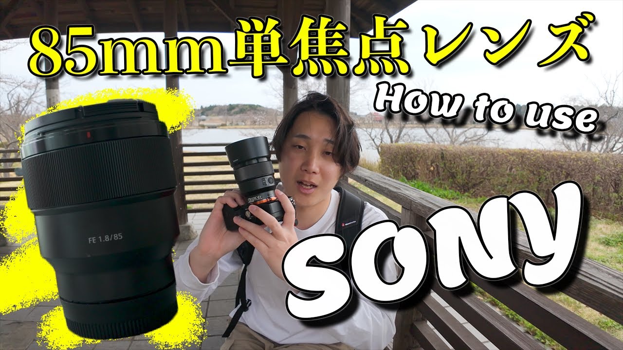 レンズ紹介】85mm単焦点レンズで桜撮影できなかった。 - YouTube