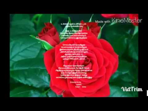 Malael nalaintha mallihai poove