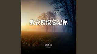 我会慢慢忘记你