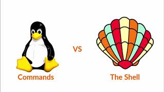 Difference between Terminal,Command and Shell for Beginners