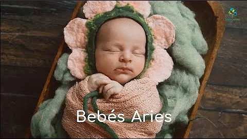 ¿Cuántos bebés tendrá Aries?