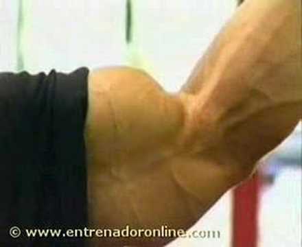 30. brazos-biceps-curl-pose-polea-priest entrenamiento running