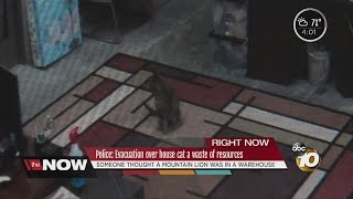 Police: Evacuation over house cat a waste of resources screenshot 5