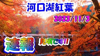 「河口湖の紅葉」 第27回富士河口湖紅葉まつり｜2025 | ニッポン旅マガジン