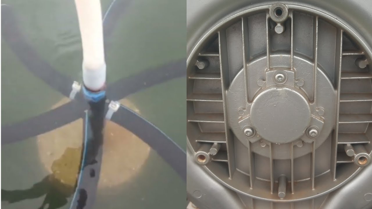 Como aprender a trabalhar com esse soprador Radial 1cv na piscicultura