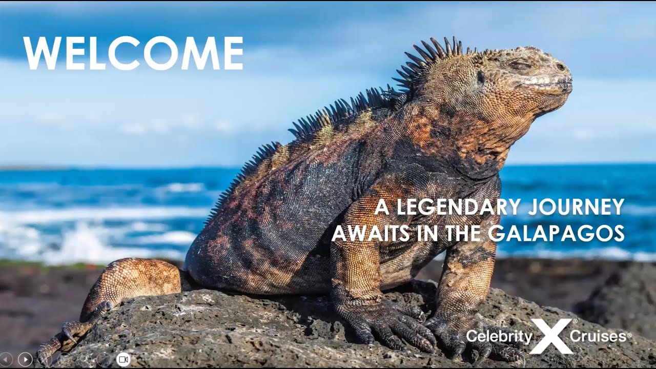 Celebrity Expedition Event via Zoom