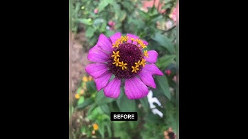 Picsart Aesthetic Editing Tutorial by Danish Naael #picsart #picsartaesthetic #aestheticediting