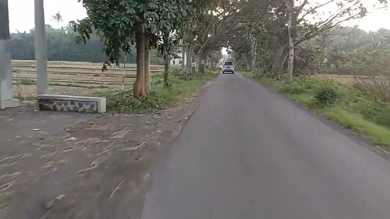Review jalan jalur Puger lewat SMPN 2 Ambulu Jember