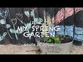 My Spring Garden (April) 春季蔬菜- Quick Tour🪴￼