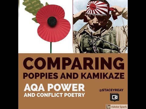 kamikaze and poppies comparison essay