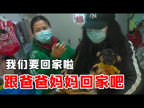 Video: Derma Makanan Penyelamat Bank Membawa Kehidupan Baru Ke Chihuahuas Terbengkalai