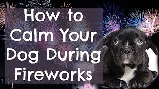 How To Calm A Dog During Fireworks