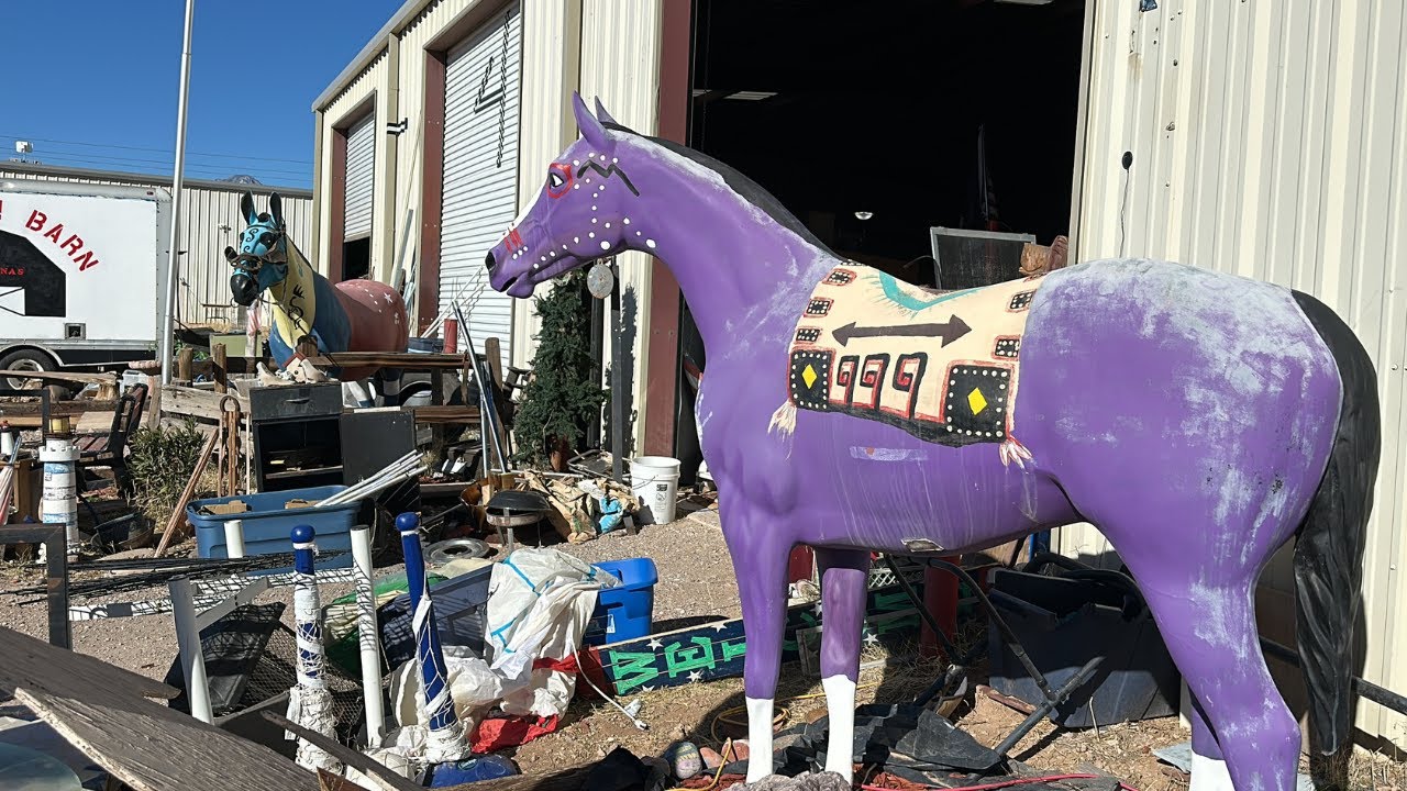 I Went to Bargain Barn Thrift Store & Found Blue/Purple Horses! +Norman