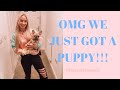 OMG WE GOT A PUPPY! BRINGING HOME OUR 8 WEEK OLD FRENCHIE | Fawn Tan Sable French Bulldog