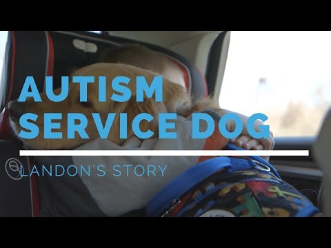 autism-service-dog-feature:-landon