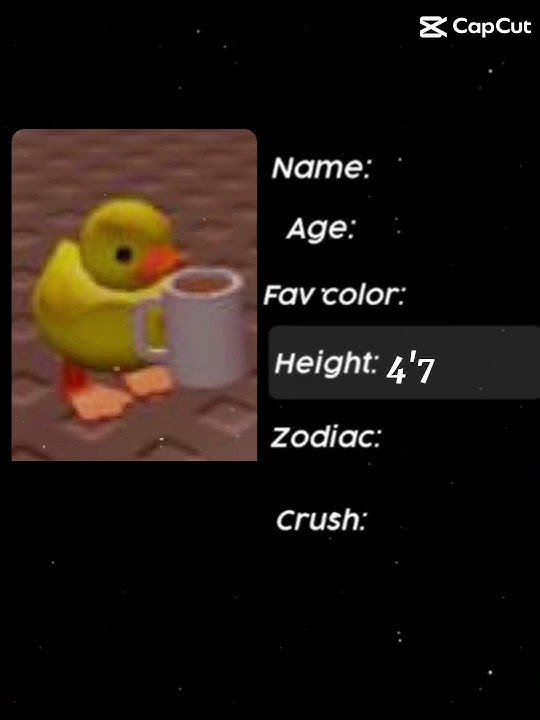 My name my age my favorite color~