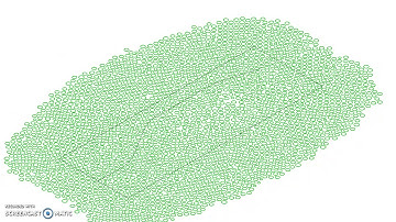 Paper Trails - Kangaroo Circle Packing