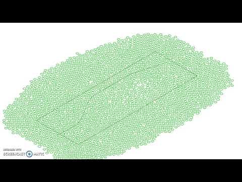 Paper Trails - Kangaroo Circle Packing