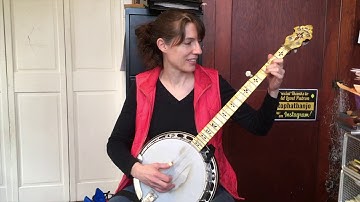 Nine Pound Hammer - Excerpt from the Custom Banjo Lesson from The Murphy Method