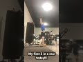 First 3 90 degree hspu #calisthenics #motivation #power #athlete #nevergiveup #challenge #funny