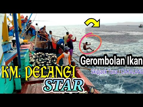 Indomie Cakalang rasanya kayak Bon Cabe Sambal Roa, Indomie Kuliner Indonesia | Mongunyah. 