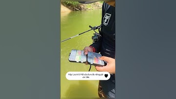 HỘP Lưu trữ mồi lure đa năng #cauca #fishing