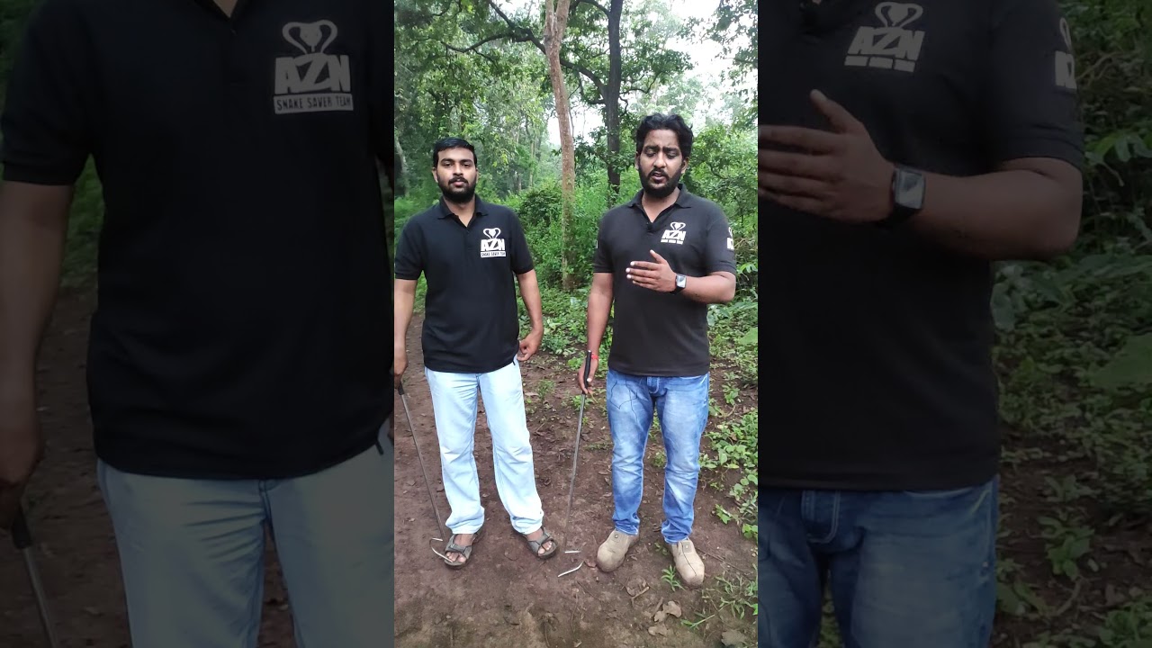 Snake Hooks #shorts #jkhooks товар отличного качества.