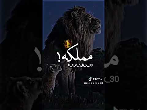 اغنيه انا ابويا قال لي تعيش اسد تسوق مماكه