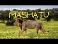 Mashatu Green Season Safari Highlights - February 2023