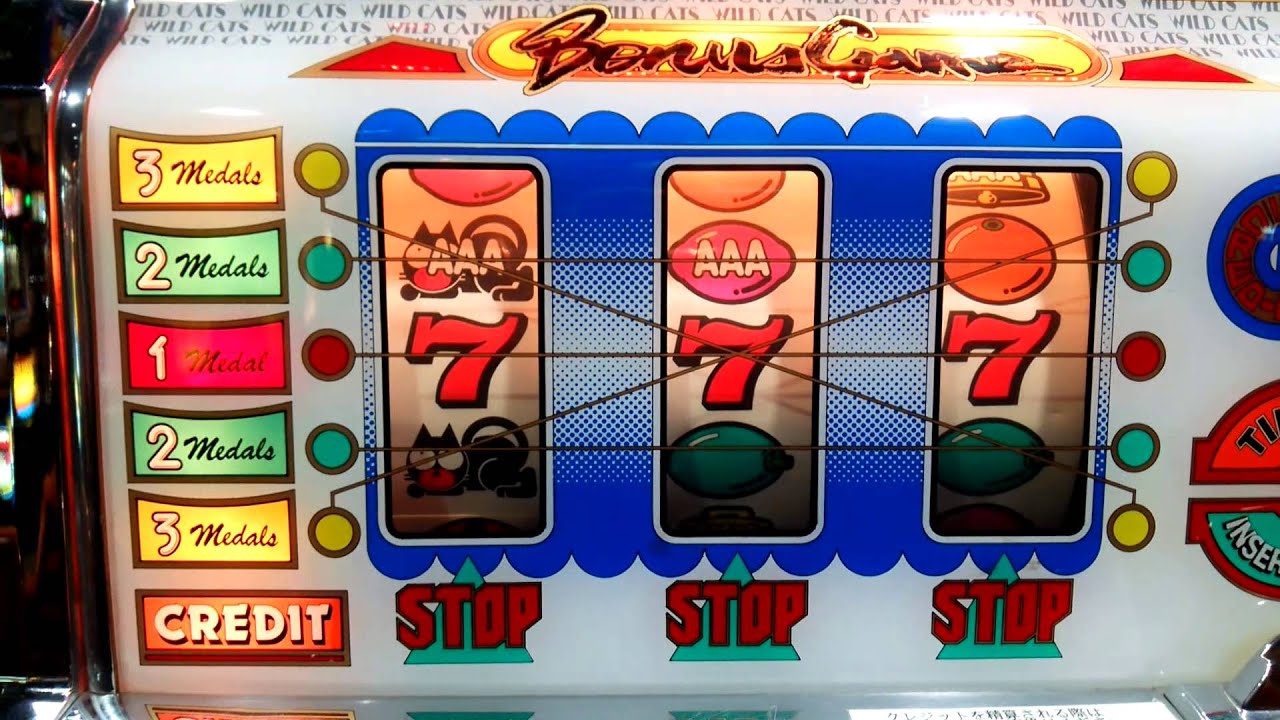 ワイルドキャッツ YouTube