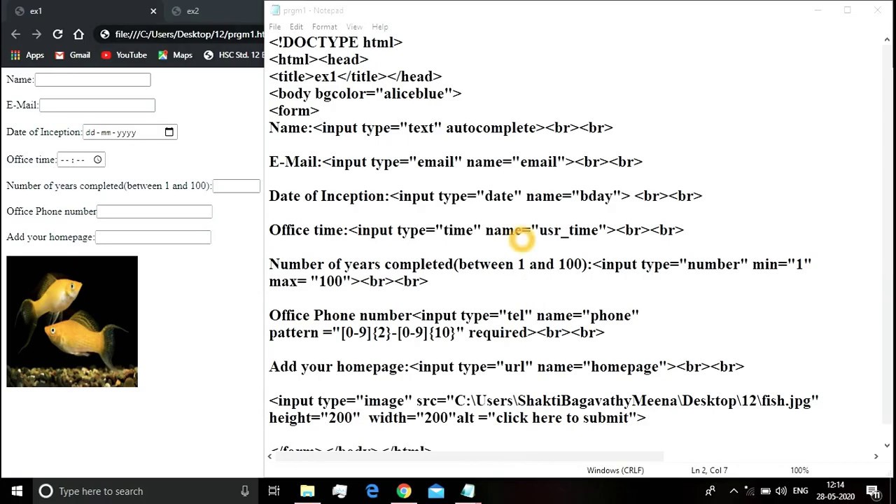 Input Elements Input Restrictions Of HTML5 In Hindi YouTube