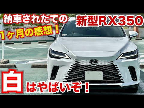 LEXUS 現行RX バージョンL フロントグリル上部 アレックスグリル LEXUS RXバージョンL LA/LH系専用 ※3トーン