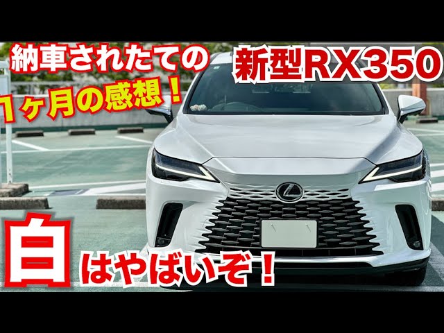 LEXUS 現行RX バージョンL フロントグリル上部 LEXUS 現行RX バージョンL フロントグリル上部 アレックスグリル