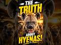HYENA Animal Facts The Scary Truth About Laughing Hyenas! Zoovanta TV