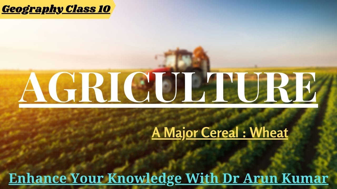 Geography Class 10, Chapter Agriculture A Major Cereal Wheat YouTube