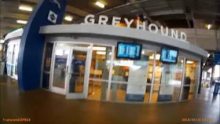 Washington DC Union Station Bus Terminal Megabus Greyhound