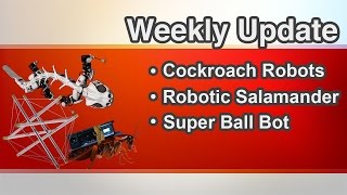 Cockroach Robots | Robotic Salamander | Super Ball Bot