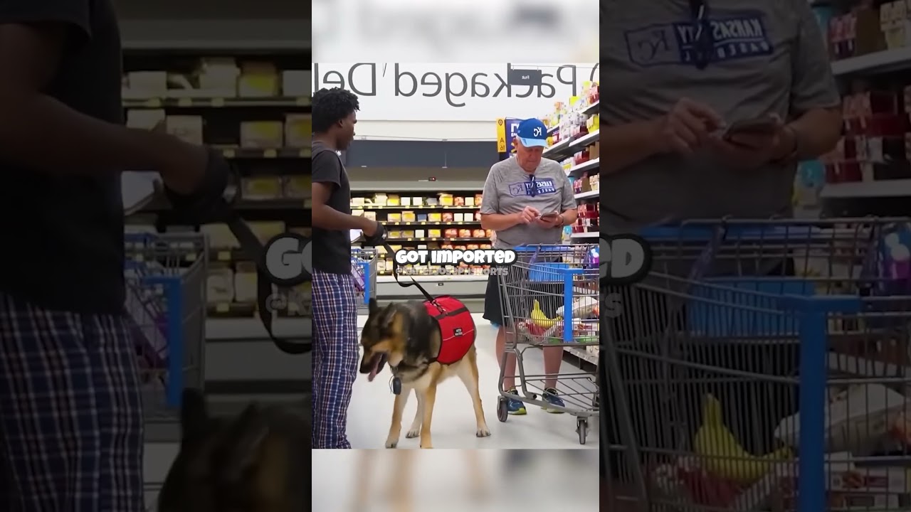 My Twitch Chat Controlled My Dog's Voice in Walmart 😂🐶 