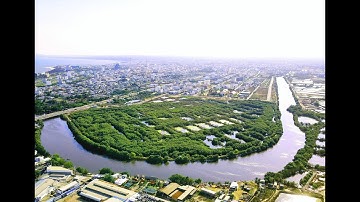 Tuyệt đẹp rừng ngập mặn giữa lòng thành phố Phan Thiết