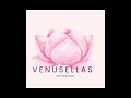 VENÜS – Herkesin İçindeki Işığa Yazılmış Şarkı | VENÜSELLAS