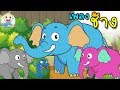 เพลง ช้าง 2020 ช้างช้างช้าง น้องเคยเห็นช้างกันบ้างหรือเปล่า | เพลงเด็กเต้น | MaMa Kids TV [HD]
