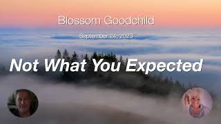 Not What You Expected | Blossom Goodchild - Federation of Light