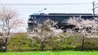 EF210-171　2062レ　2014.04.11　琵琶湖線