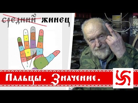 Пальцы! Русское название пальцев!