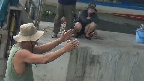 Có Phải Chú Ấy Ở Trong Ban Nhạc Nào Ra Đi Sà Lan Không?